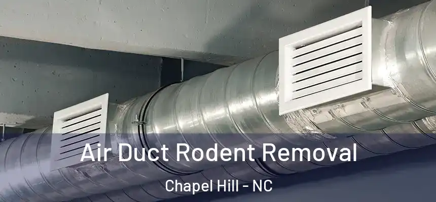  Air Duct Rodent Removal Chapel Hill - NC