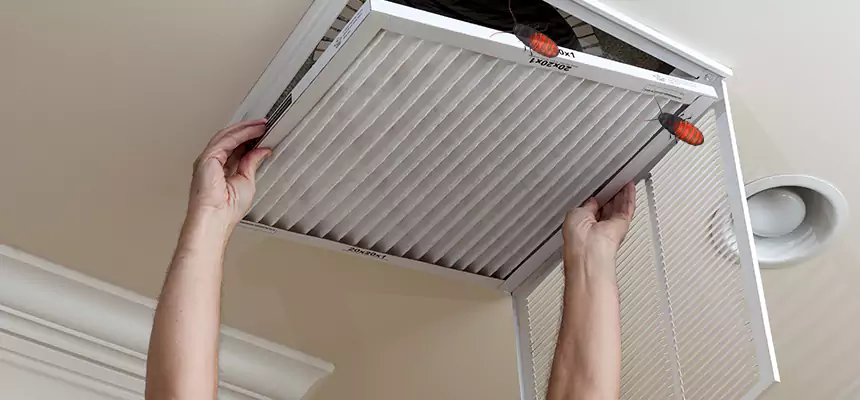 Preventive Cockroach-Proofing for Ducts in Chapel Hill