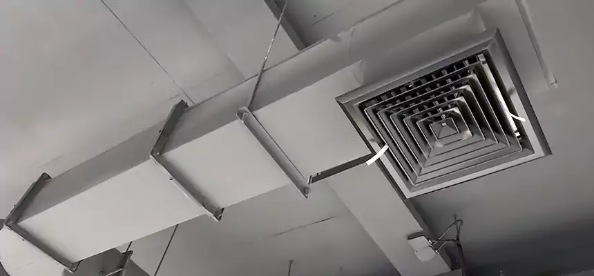 Our Pest Removal From Ducts Services in Chapel Hill, NC