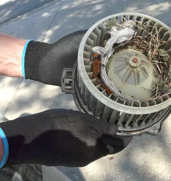 About Air Duct Rat Removal in Chapel Hill, NC