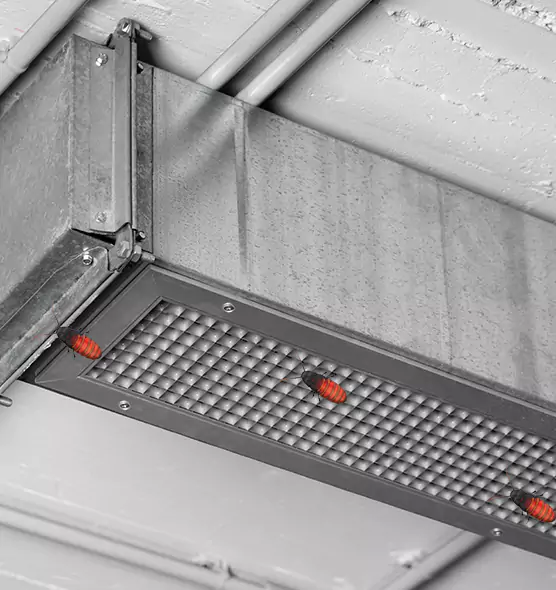 Affordable Insect Removal from Air Ducts in Chapel Hill, NC