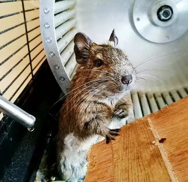 Why Homeowners & Businesses Trust Us Chapel Hill, NC