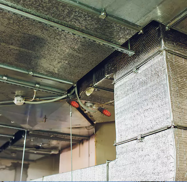 Why Homeowners & Businesses Trust Us Chapel Hill, NC?